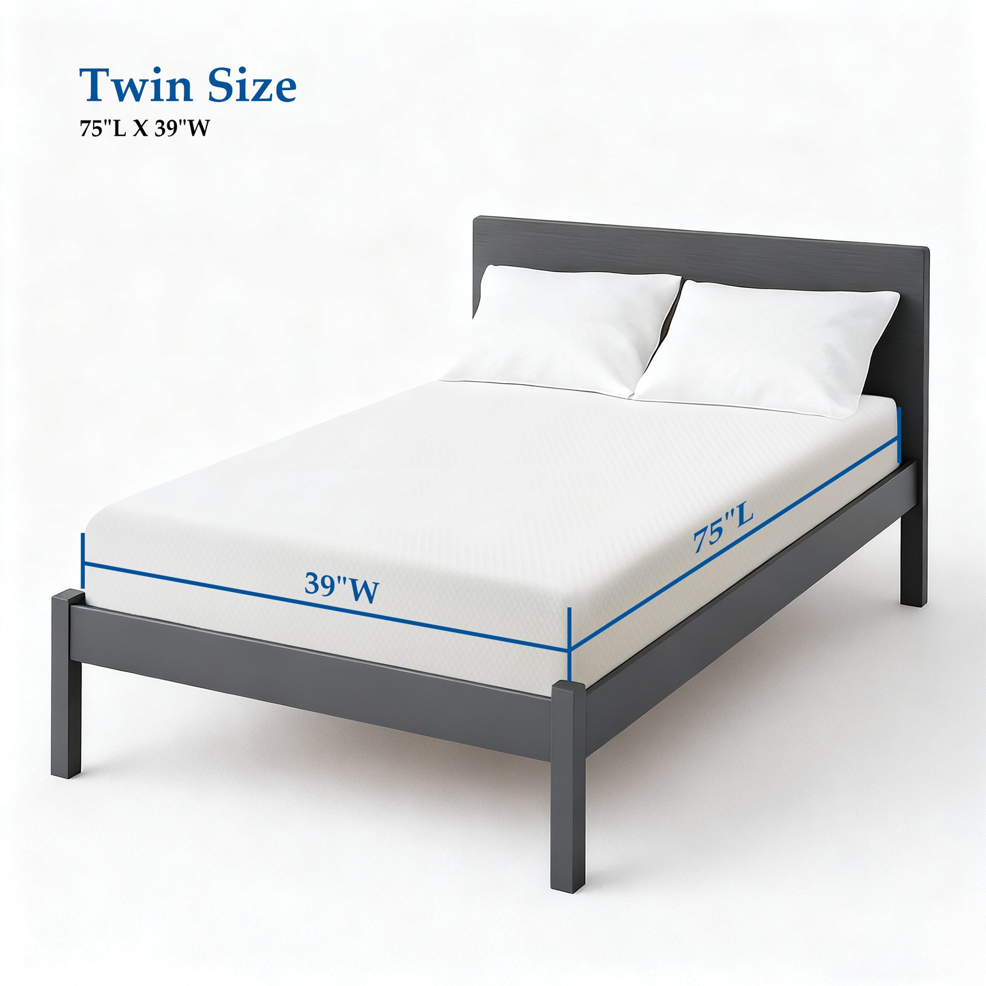 Twin / 6 in