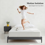 Queen / 10 in Twin / 6 in