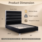 Modern Upholstered Bed with Stainless Steel Accents, Fully Upholstered Platform Bed, Mattress Ready