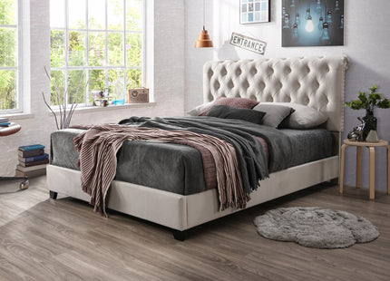 <font color="#575757">Upholstered Bed Frame | CF8033</font><br> MSRP*$499