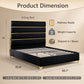 Modern Upholstered Bed with Stainless Steel Accents, Fully Upholstered Platform Bed, Mattress Ready