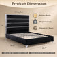 Modern Upholstered Bed with Stainless Steel Accents, Fully Upholstered Platform Bed, Mattress Ready