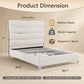 Modern Upholstered Bed with Stainless Steel Accents, Fully Upholstered Platform Bed, Mattress Ready
