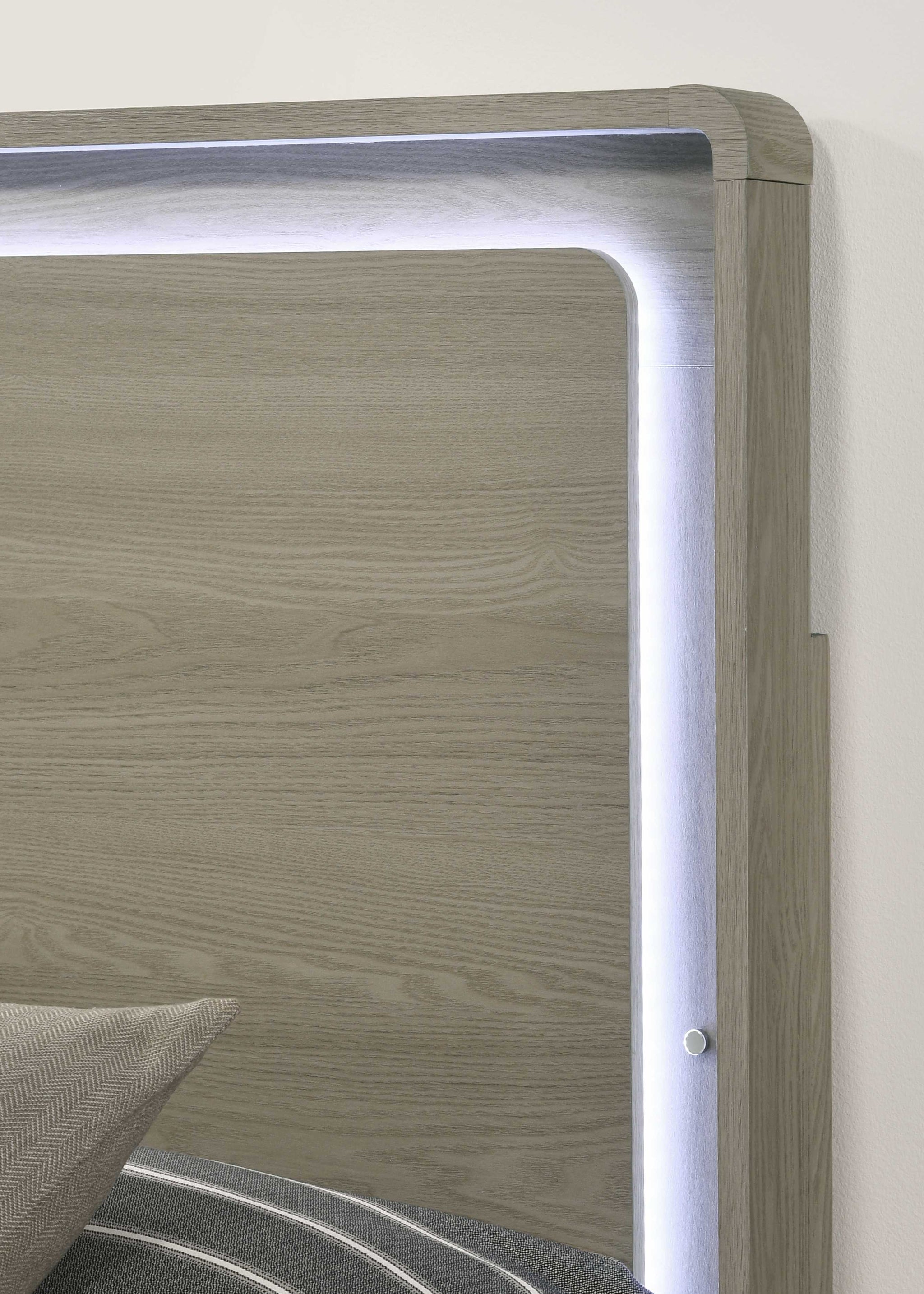 Contemporary Gray Bed with LED Wood Panel Headboard