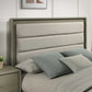 Contemporary Gray Bed with LED Wood Panel Headboard