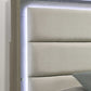 Contemporary Gray Bed with LED Wood Panel Headboard