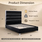 Modern Upholstered Bed with Stainless Steel Accents, Fully Upholstered Platform Bed, Mattress Ready