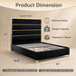 Modern Upholstered Bed with Stainless Steel Accents, Fully Upholstered Platform Bed, Mattress Ready