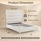 Modern Upholstered Bed with Stainless Steel Accents, Fully Upholstered Platform Bed, Mattress Ready